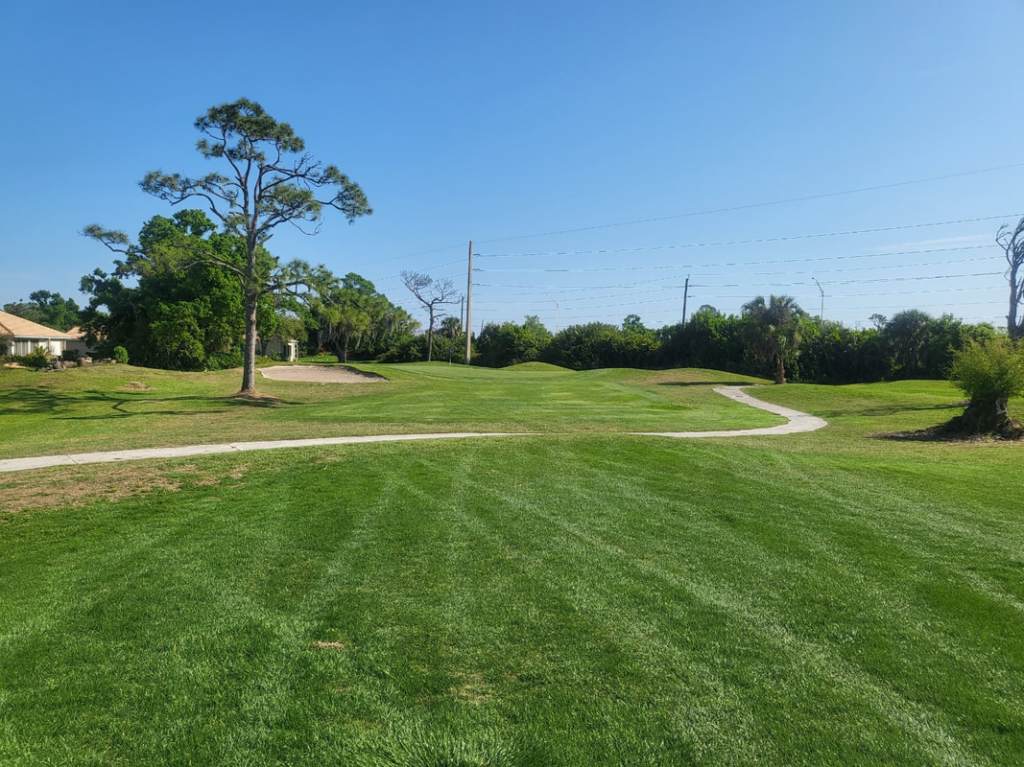 Fairway greens